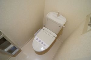 グラン・シャリオ B棟 101号-9