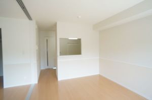 メゾン プレール カネザワ 303号-3