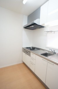 メゾン プレール カネザワ 303号-5