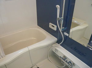 カリスローメ 102号-11