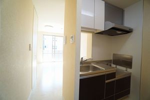 ルミノシーテＤ 102号-5