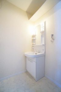 ルミノシーテＤ 102号-8