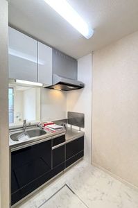 ルミノシーテＤ 103号-7