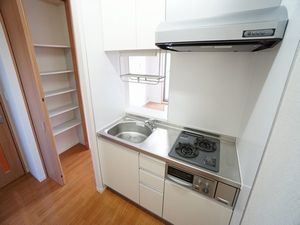 エクレール田中Ⅱ 206号-5