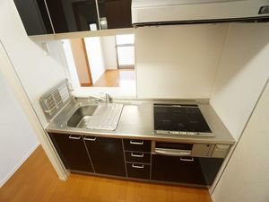 シューベルト 203号-5