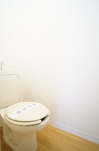 ジャックパレス３番館 202号-9