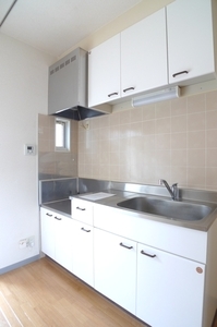 ラフォーレ・コセキ 205号-9