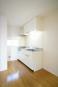 メゾンプルミエ－ル 202号-3