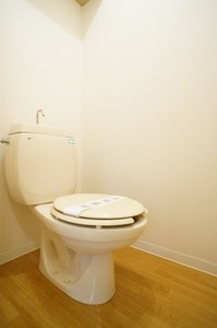 メゾンプルミエ－ル 202号-6