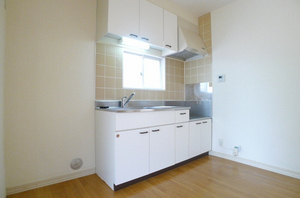 ドミールコトー 101号-6