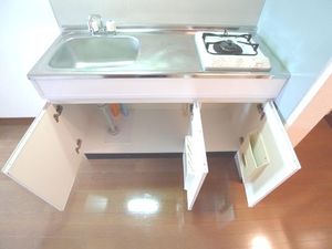 チェリーコート 202号-9