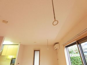 プリンセス弐番館 102号-3