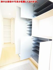 ウィルコートコガネ　Ｃ 102号-3