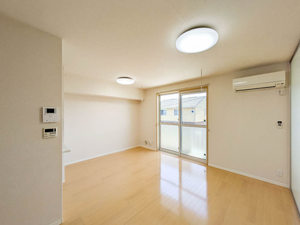 ル・シェノン 202号-3