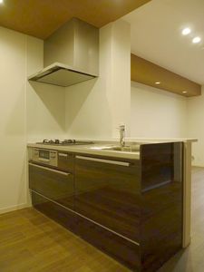 T&Y Mansion 303号-4