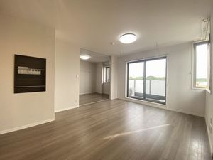 ラフィシア 205号-2