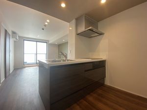 クオリスタ流星台 301号-6