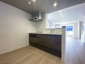 セルディーナ流星台 303号-8