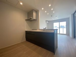 レスタシアⅡ 201号-4