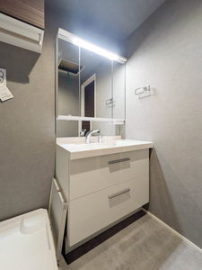 ＬＹＮＮ竹園 302号-8