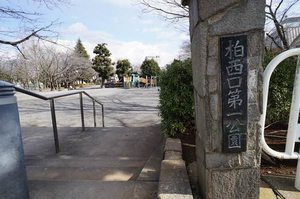 ライトフィールド 107号-12