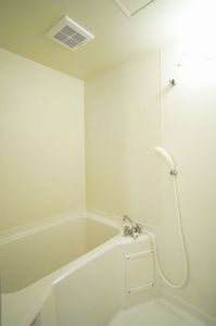 ファミリーハイツB棟 203号-9