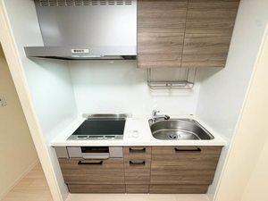 シティホームズⅧ 202号-11