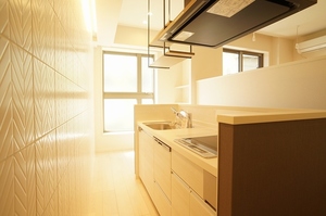 Ｃｏｎｃｏｒｄ　Ｃｈｉｂａ 106号-4