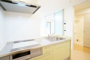 シティホームズⅥ 202号-5