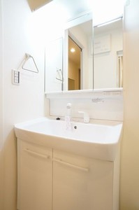 シティホームズⅥ 202号-9