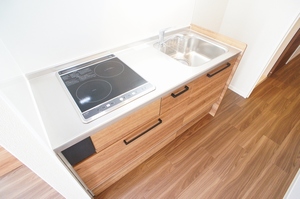 Ｓｐｒｉｎｇ　Ｈｉｌｌｓ 101号-5