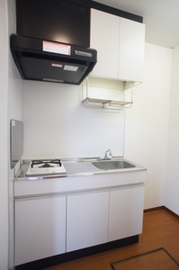 ハイツクレイン谷津 202号-4