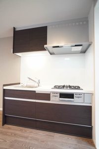 シティホームズⅩ 203号-3