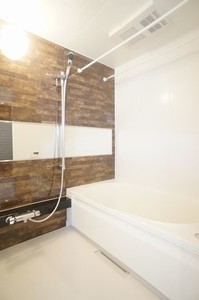 オアシスＢ 203号-9