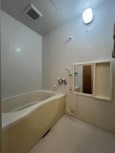 ヴィラージュ市川大町 302号-4