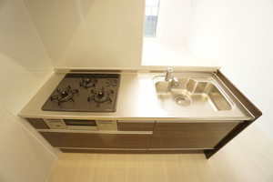 オアシスＤ 301号-5