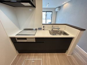 アイリスタ南柏 101号-4