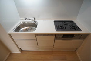 シティホームズⅩⅠ 305号-4