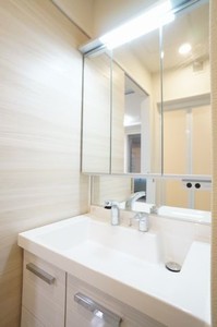ＬＯＨＡＳ　ＲＯＯＭＳ 303号-9
