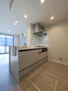 ジェミネ 105号-8