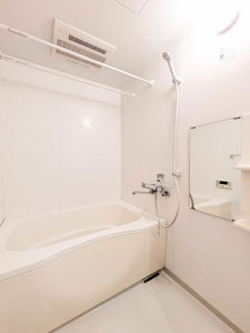 Ｓｈａ　Ｍａｉｓｏｎ　Ⅰ 102号-10