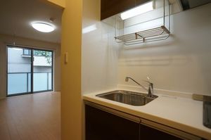 Ｍａｇｎｏｌｉａ　Ｃｏｕｒｔ 102号-11