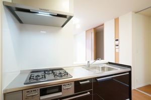 リバティ・ヒルズ 103号-11