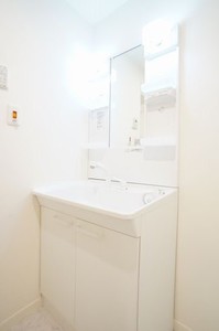 ブリジャール 201号-8