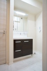 ザ・リバーハウス妙典 203号-8