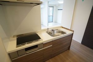 ドミール行徳 202号-5