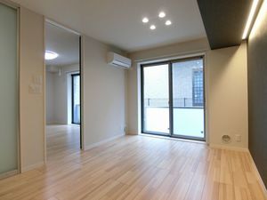 ルミエール駿河台 303号-2