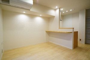 Premias南行徳 205号-3