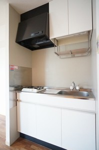 カスティージョ 201号-6