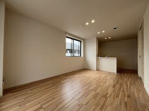 ドルフアルジョン 208号-2